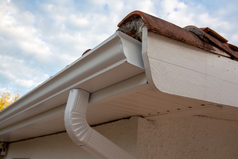 Rain Gutter Repair detail