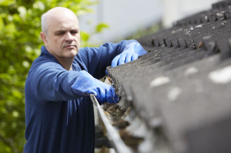 Professionals Performing Gutter Cleaning
